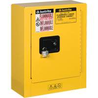 Mini-armoires de s&eacute;curit&eacute; Sure-Grip EX pour produits inflammables, 2 gal., 1 Porte(s), 17" La x 22" h x 8" p WestPier