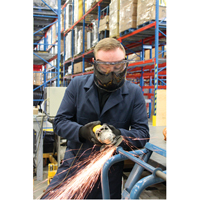 Z2300 Series Safety Shield Goggles, Clear Lens, Anti-Fog, Indirect Vent WestPier