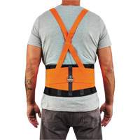 ProFlex 100HV Economy Spandex Hi-Vis Back Support Brace, Elastic, X-Small WestPier