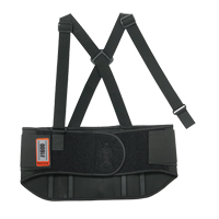 Proflex&reg; 1600 Universal Back Support, Elastic, One Size WestPier