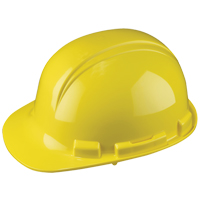 Casque de s&eacute;curit&eacute; Whistler de North, R&eacute;pond aux normes CSA type 1, Suspension &agrave; douille, Non ventil&eacute; WestPier