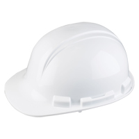 Casque de s&eacute;curit&eacute; Whistler de North, R&eacute;pond aux normes CSA type 1, Suspension Rochet, Non ventil&eacute; WestPier