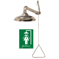 All Stainless Steel Drench Shower, Wall-Mount SGC281 | WestPier