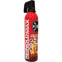 Fire Extinguisher, ABC/K, 2 lbs. Capacity SGC461 | WestPier