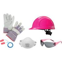 Ladies' Worker PPE Starter Kit SGH559 | WestPier