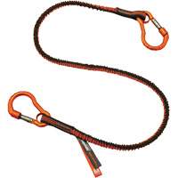 Longe porte-outils Squids 3110F(x), Tendeur, Mousqueton double WestPier
