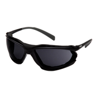 Proximity Safety Glasses, Grey/Smoke Lens, Anti-Fog Coating, ANSI Z87+/CSA Z94.3 SGI170 | WestPier