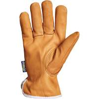 Gants de conducteur Endura, Petit, Paume en Cuir fleur de ch&egrave;vre, Thinsulate WestPier