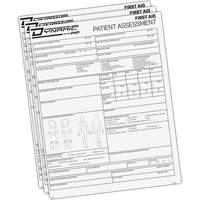 Dynamic Patient Assessment Chart WestPier
