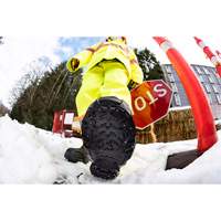 Heavy-Duty Traction Aid, Tungsten Carbide, Stud Traction, Small WestPier