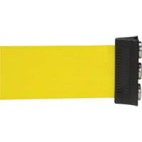 Wall Mount Barrier with Magnetic Tape, Steel, Screw Mount, 12', Yellow Tape SGR019 | WestPier