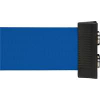 Wall Mount Barrier with Magnetic Tape, Steel, Screw Mount, 7', Blue Tape SGR025 | WestPier
