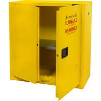 Flammable Storage Cabinet, 30 gal., 2 Door, 43" W x 44" H x 18" D WestPier