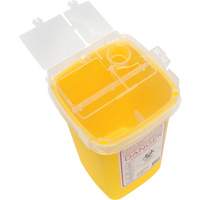 Sharps Container, 1 L Capacity SGW112 | WestPier