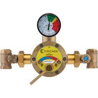 Mixing Valve for Exposed Assembly of Drench or Combination Emergency Shower, 56 GPM SGX711 | WestPier