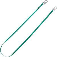 V-Series Tieback Restraint Lanyard, 10' WestPier