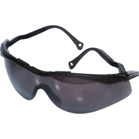 North<sup>®</sup> The Edge™ Safety Glasses, Smoke Lens, Anti-Fog/Anti-Scratch Coating, CSA Z94.3 SH061 | WestPier