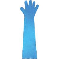 Disposable Gloves, Polyethylene, Powder-Free, Blue WestPier
