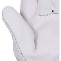 Beige Driver's Gloves, Small, Grain Cowhide Palm SHE731 | WestPier