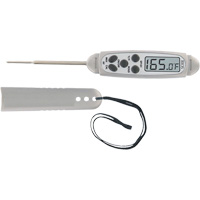 Folding Pocket Thermometer, Digital SHI599 | WestPier