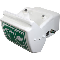 Eye/Face Wash, Wall-Mount Installation, Plastic Bowl WestPier