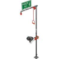 Combination Shower with Open Stainless Steel Bowl & Top Inlet, Pedestal WestPier