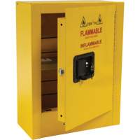 Mini Flammable Safety Cabinet, 2 Gal., 1 Door, 17" W x 22" H x 8" D WestPier
