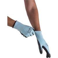 Gants &eacute;lastiques &eacute;cologiques r&eacute;sistants &agrave; la coupe, Taille 11, Calibre 13, Rev&ecirc;tement Polyur&eacute;thane, Enveloppe en PEHP/rPET, ASTM ANSI niveau A3 WestPier