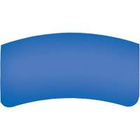 Lentille ext&eacute;rieure Bullard GenVX PETG WestPier