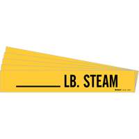 Marqueurs de tuyau LB. Steam, Autocollant, 2-1/4" h x 2-3/4" la, Noir sur jaune WestPier