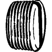 Pipe Plug (Slotted), 1/8" Dia., Brass WestPier