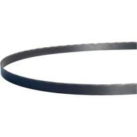 Lames de scie &agrave; ruban portable Wolf-Band, Bim&eacute;tal, 44-7/8" lo x 1/2" la x &eacute;paisseur 0,02", 14 dents par pouce WestPier