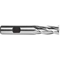 C615 End Mill, 1/4" Dia., 4 Flutes, High Speed Steel WestPier