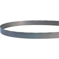 Welded Bandsaw Blade, Bi-Metal, 14' L x 1" W x 4 - 6 TPI WestPier