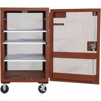 Mobile Mesh Cabinet, Steel, 22 Cubic Feet, Red TEQ807 | WestPier