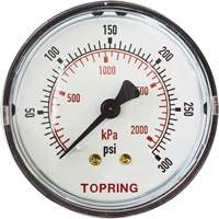 Replacement Pressure Gauge, 2" , 0 - 175 psi, Back Mount, Analogue WestPier