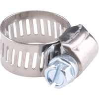 Reusable Zinc Plated Stainless Steel Clamp, Min Dia. 5/16", Max Dia. 7/8" WestPier
