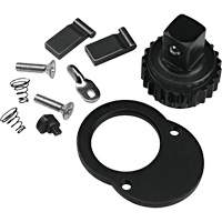 Ratchet Repair Kit WestPier