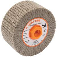 Blendex Surface Conditioning Drum, 4-1/4" Dia. x 2" W, 5/8"-11 Arbor, Fine Grit WestPier
