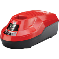 Chargeur M4 , 4 V, Lithium-ion WestPier