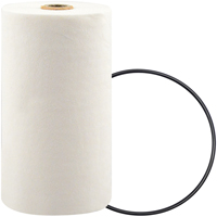 P7247 Filtre pour liquide de refroidissement &agrave; visser avec additif BTE WestPier