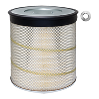 PA2839 Air Element With Lift Tabs WestPier