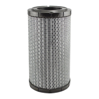 RS5761 &eacute;l&eacute;ment filtrant pour l'air d'habitacle avec joint radial WestPier