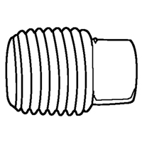 Pipe Plugs (Square Head), 1/8" Dia., Brass WestPier