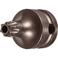 Socket Bit, Torx&reg; Tamper, 25 x 1" L, 3/8" Drive WestPier