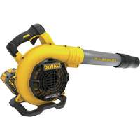 FlexVolt&reg; Handheld Blower Kit WestPier