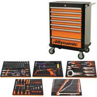 Auto Mechanic Set with Rolling Cabinet, 125 Pieces WestPier