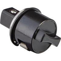 Ensemble de cliquet de rechange &agrave; pommeau de levier M12 Fuel 3/8" WestPier