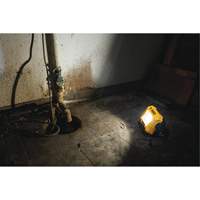 Lampe d'&eacute;clairage direct compact 12V/20V Max, DEL, 2000 Lumens WestPier