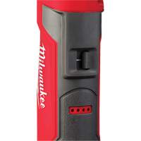 M12 Stick Transfer Pump, 12 V, 9 gpm WestPier